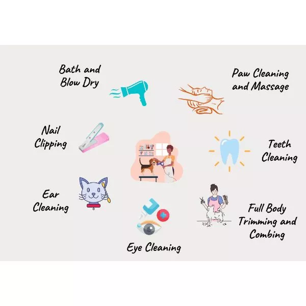 Pet Care Package on rent