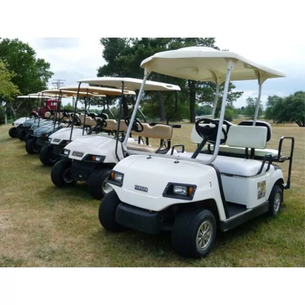 Golf Cart with driver on rent