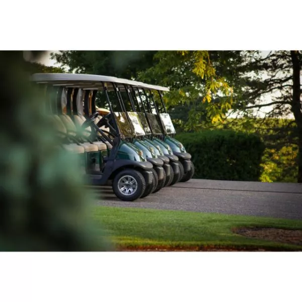 Golf Cart with driver on rent