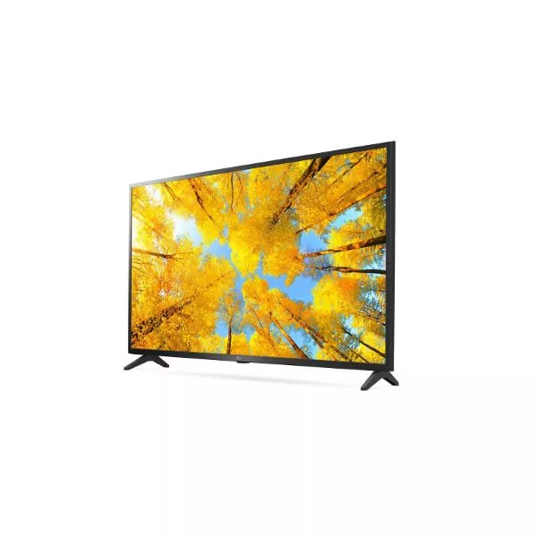 Television 50-55" (Inch) on rent