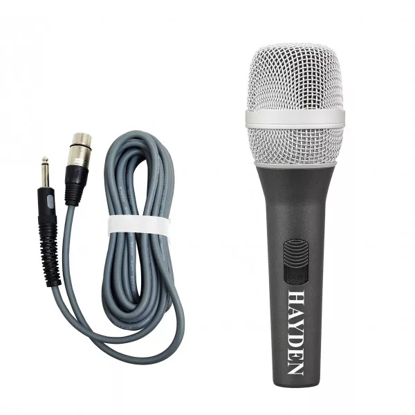 Hayden Mic Wireless on rent